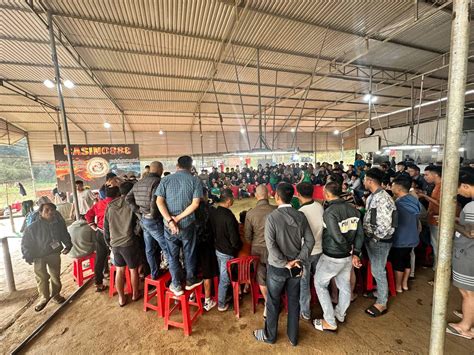 Trường Gà Quốc Tế Đắk Puer 888 .
